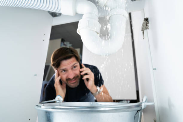 Best Clogged Drain Plumber  in Presquille, LA