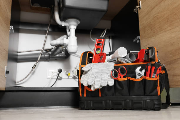 Best Same-Day Plumbing Service  in Presquille, LA