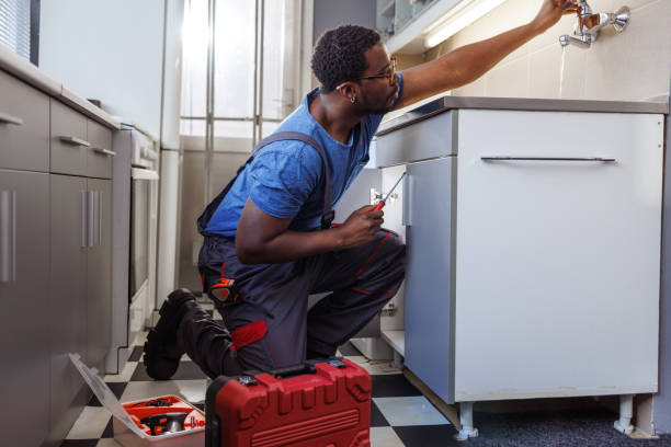 Best Local Plumber Services  in Presquille, LA
